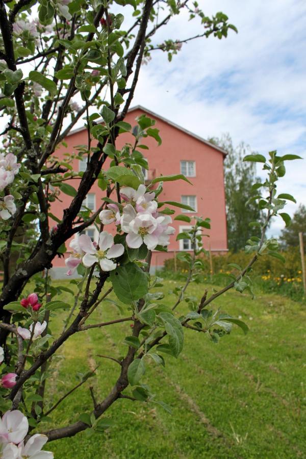 Inn Vanha Koulu *